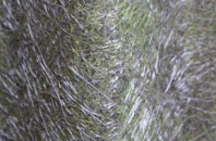 North Howden fibreglass roof work